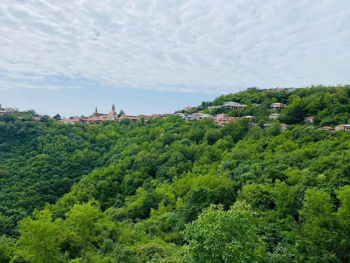 Villa Royal Sighnaghi Εξωτερικό φωτογραφία