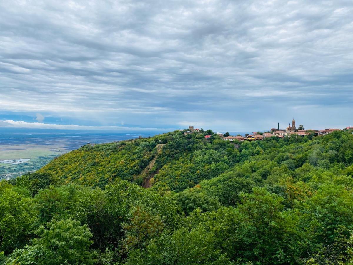 Villa Royal Sighnaghi Εξωτερικό φωτογραφία